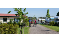 Kampeerplaatsen Het Caitwickerzand op de Veluwe met paardenweide VMP031